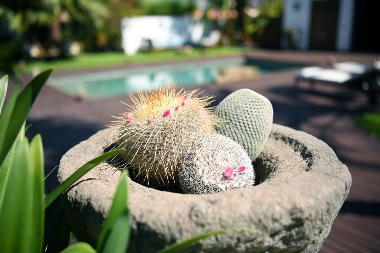 Kharisma Bed & Breakfast Altea Bagian luar foto
